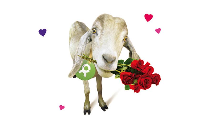 OxfamUnverpackt Valentinstag - Ich hab Dich MÄHga lieb