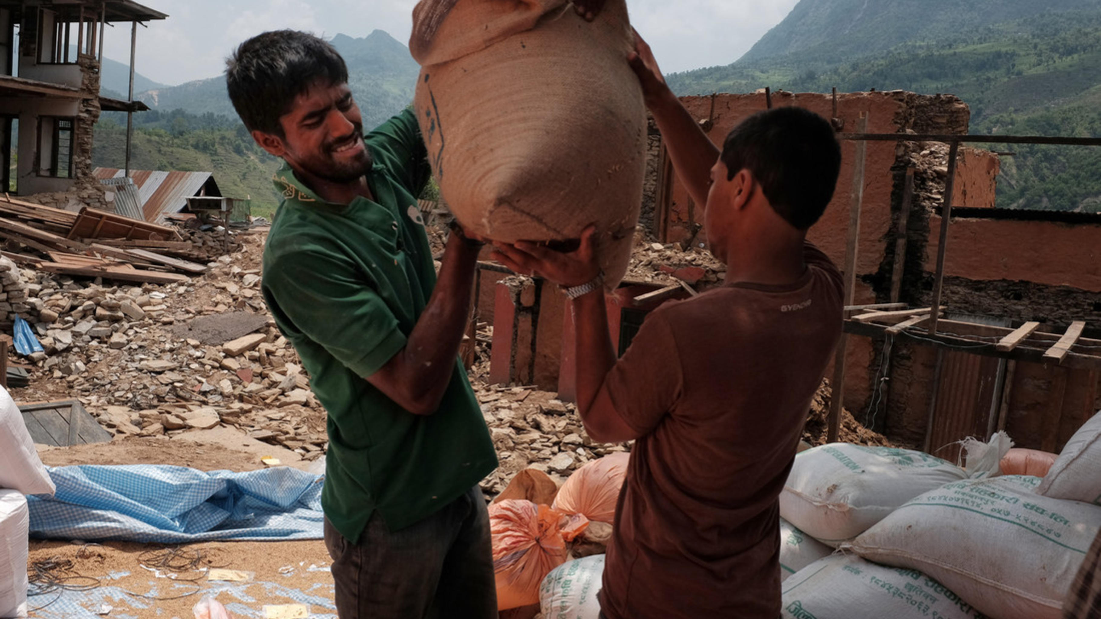 Freiwillige Helfer verteilen Reissamen.
