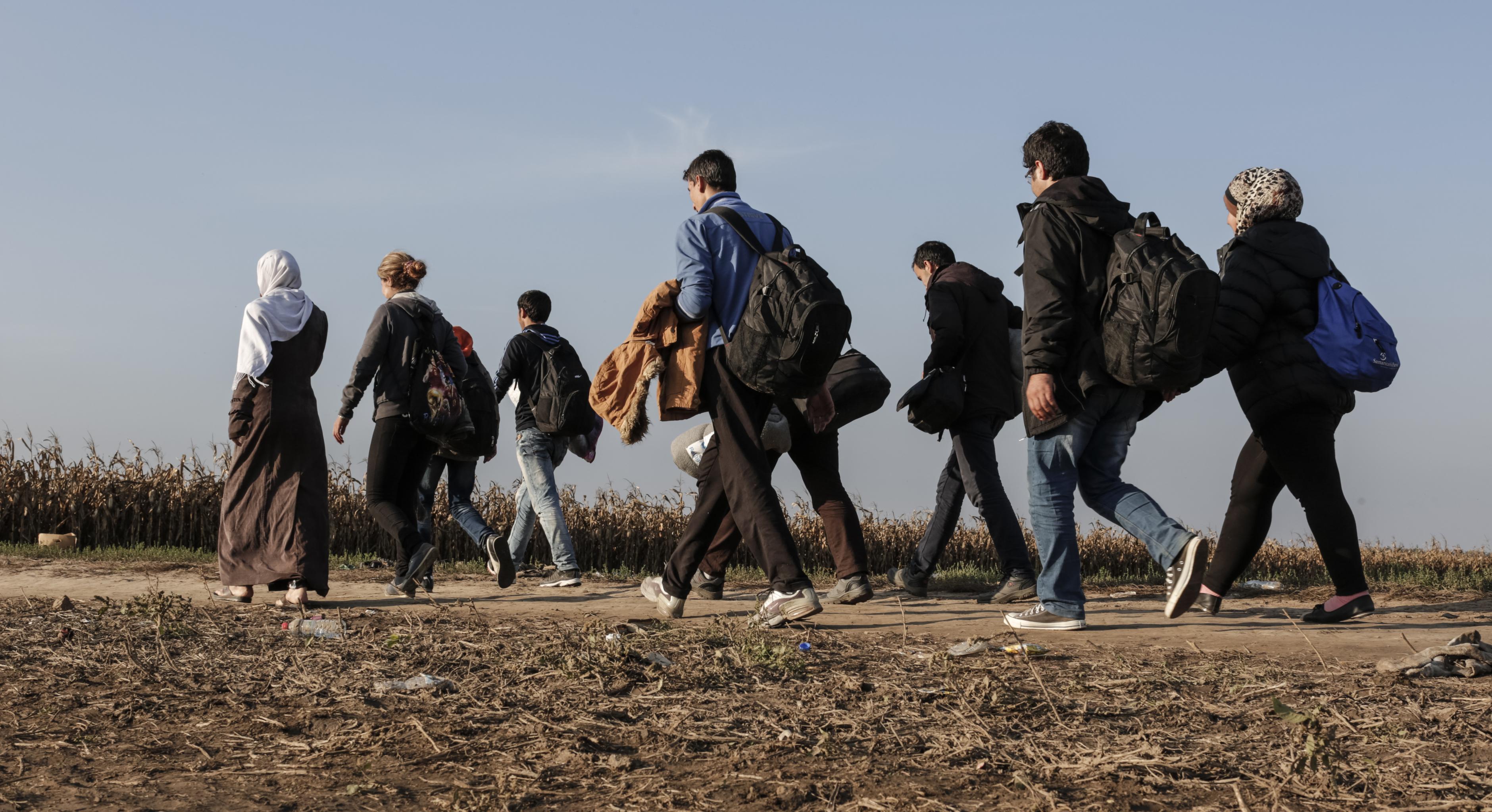 Eine Gruppe von Menschen geht auf einem Weg zwischen Feldern