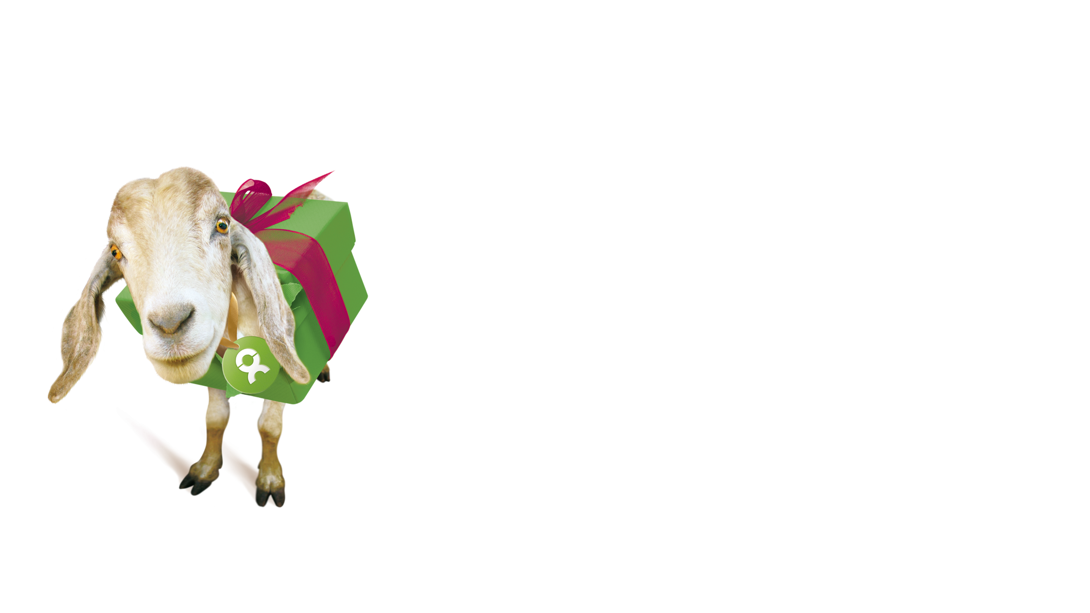 Geschenke, die Gutes tun!