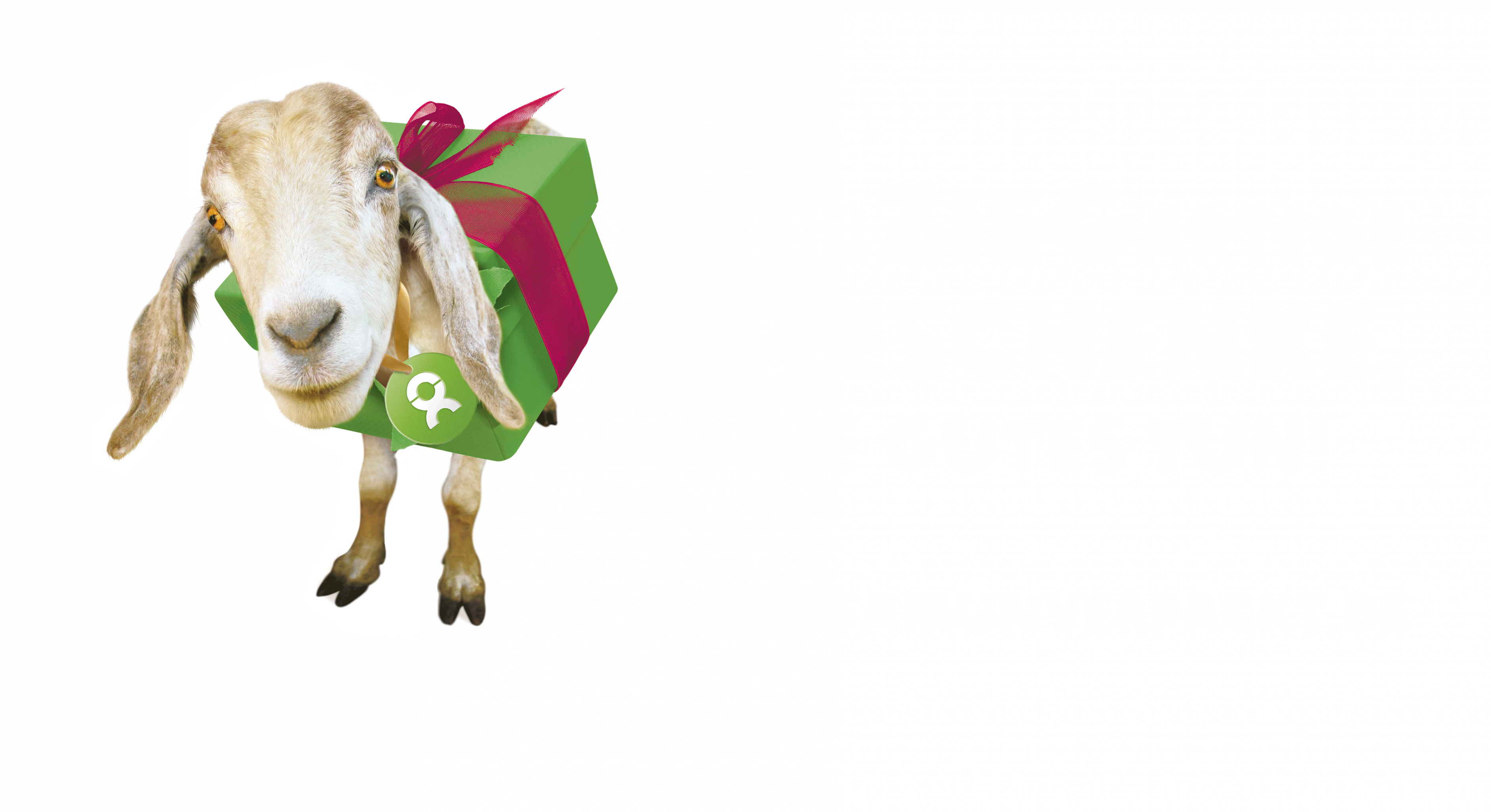 Oxfam Deutschland Fur Eine Gerechte Welt Ohne Armut