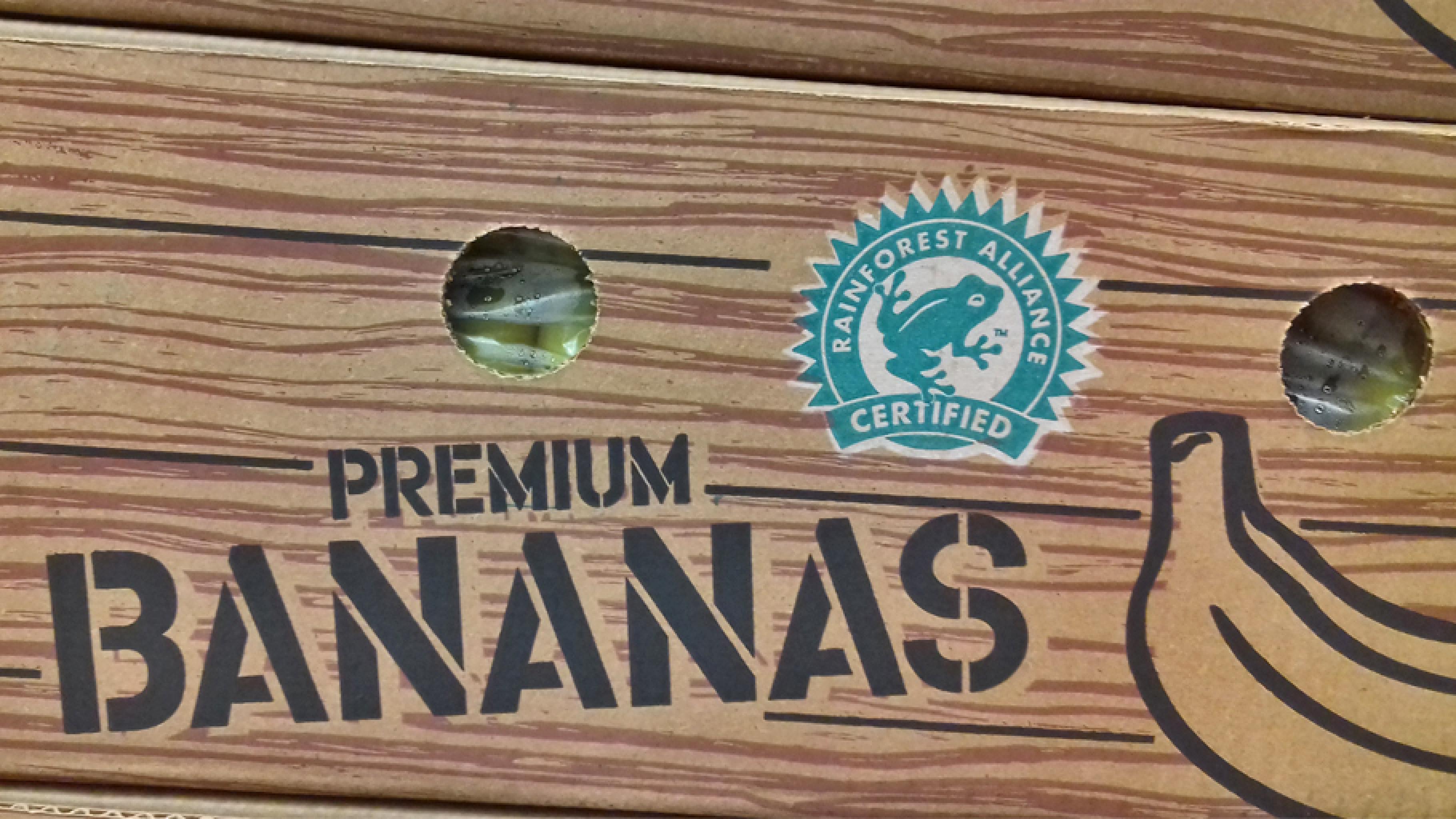 Zertifizierungsprozess Rainforest Alliance Bananen Packung Lidl