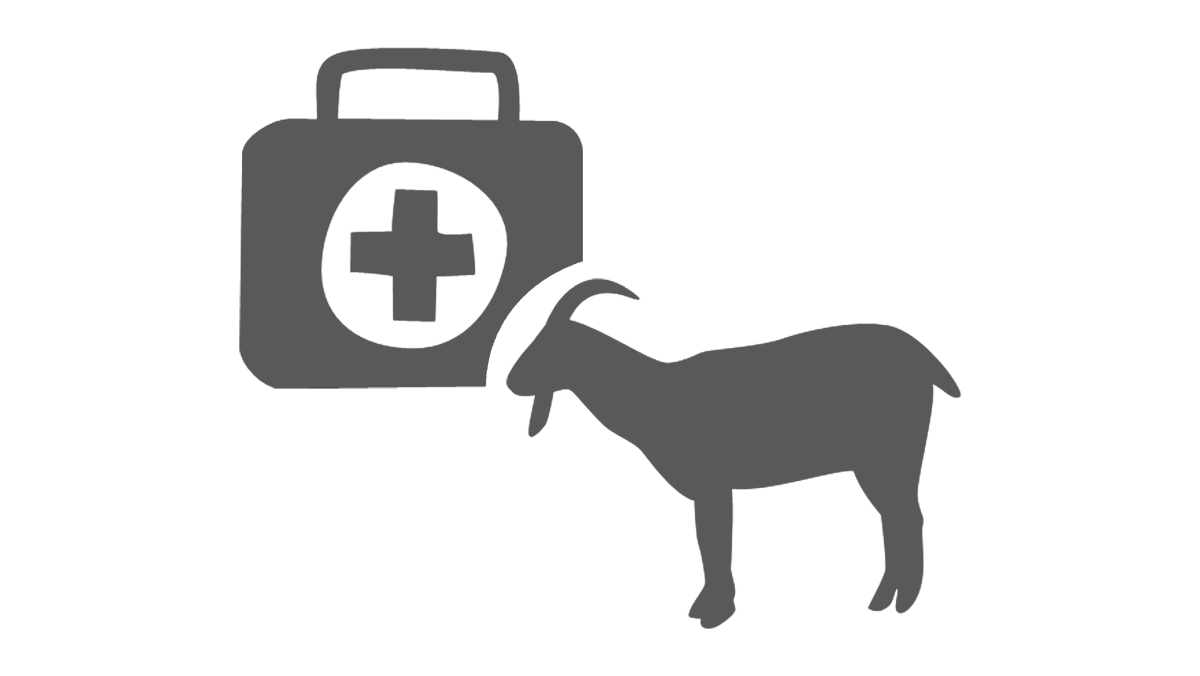 Tierarzt