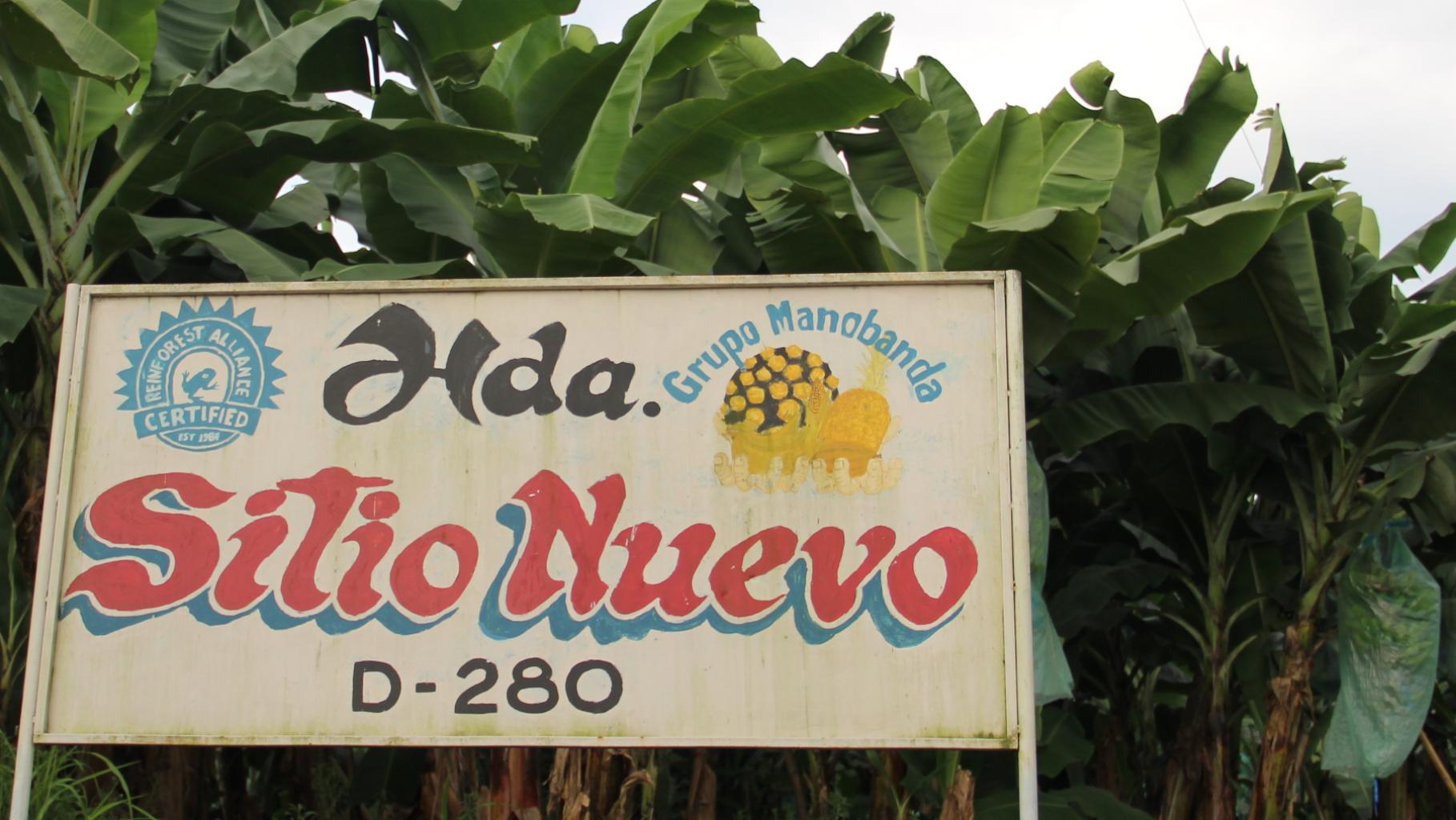 Ein Schild mit der Aufschrift „Hda. Sitio Nuevo, D-280, Grupo Manobanda“ und dem Rainforest-Alliance-Siegel