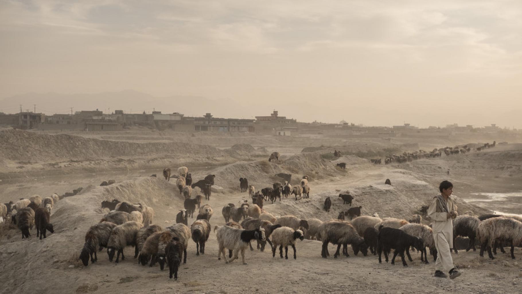 Außenbezirk von Kabul