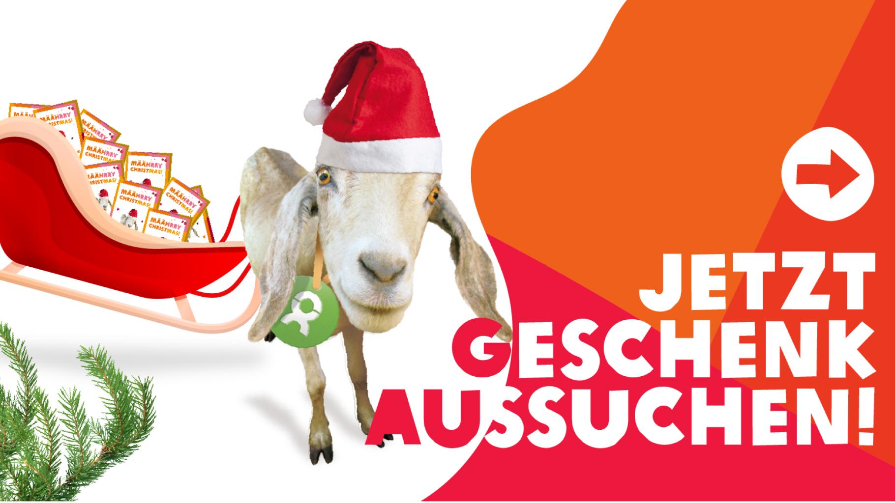 Bild einer Ziege, die einen Schlitten voller Geschenke zieht. Auf dem Bidl steht. Jetzt Geschenk aussuchen!