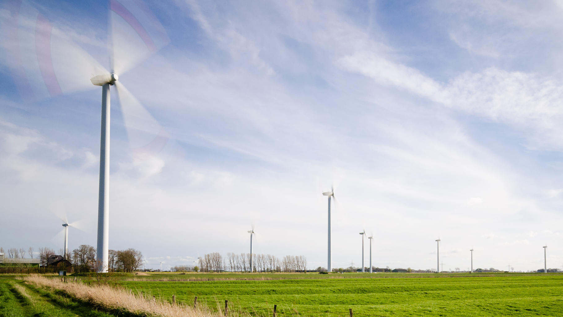 Windräder zwischen satt grünen Feldern
