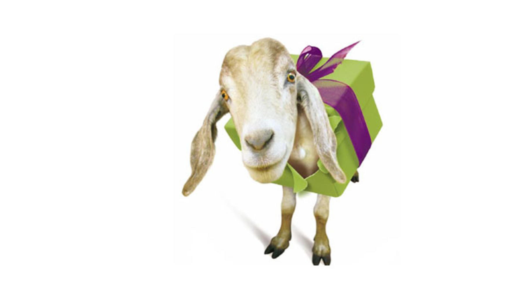 OxfamUnverpackt Ziege