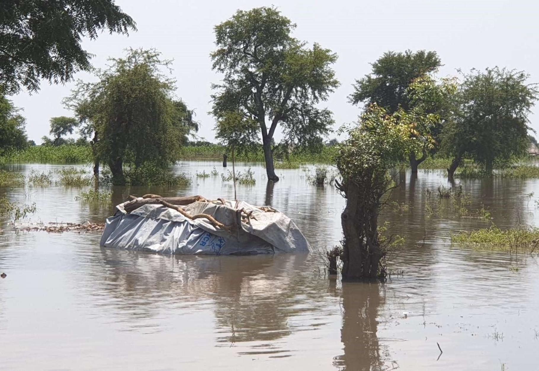 Hochwasser in einer Landschaft mit Bäumen. In der Mitte ist eine Plane sichtbar, die etwas in der Größe eines Autos zum Schutz abdeckt. Sie wird von großen Ästen beschwert. 