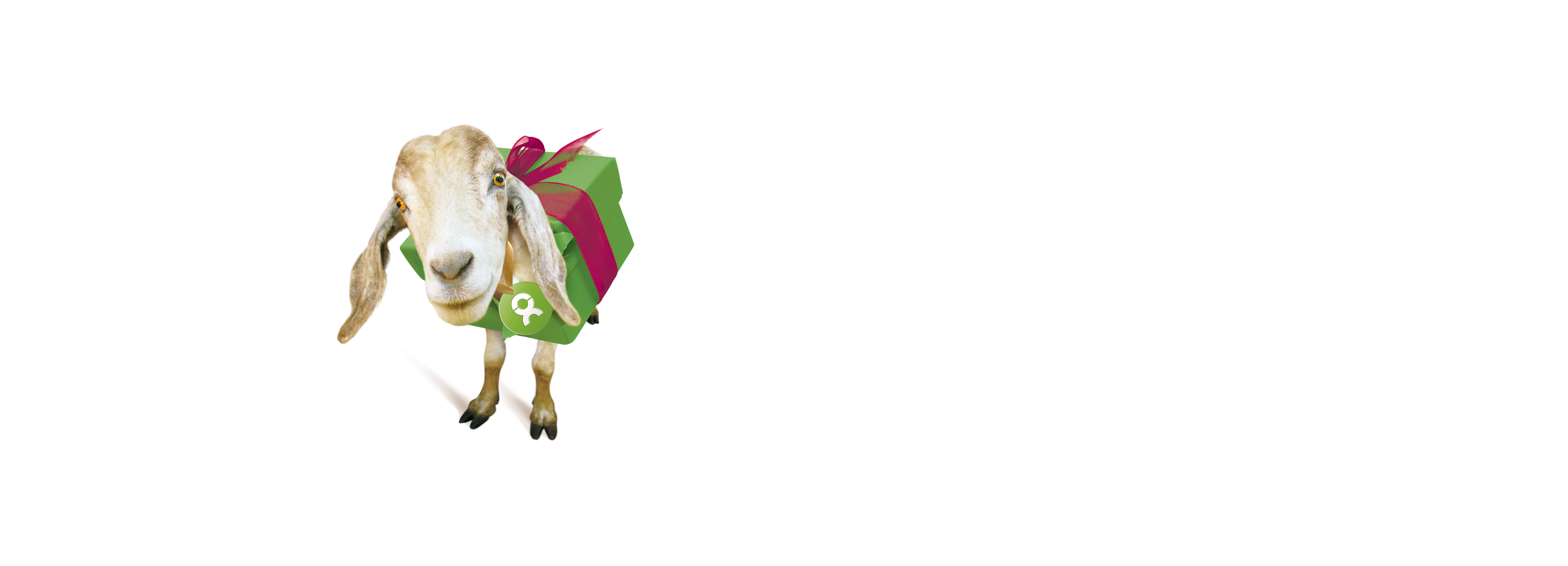 Geschenke, die Gutes tun!