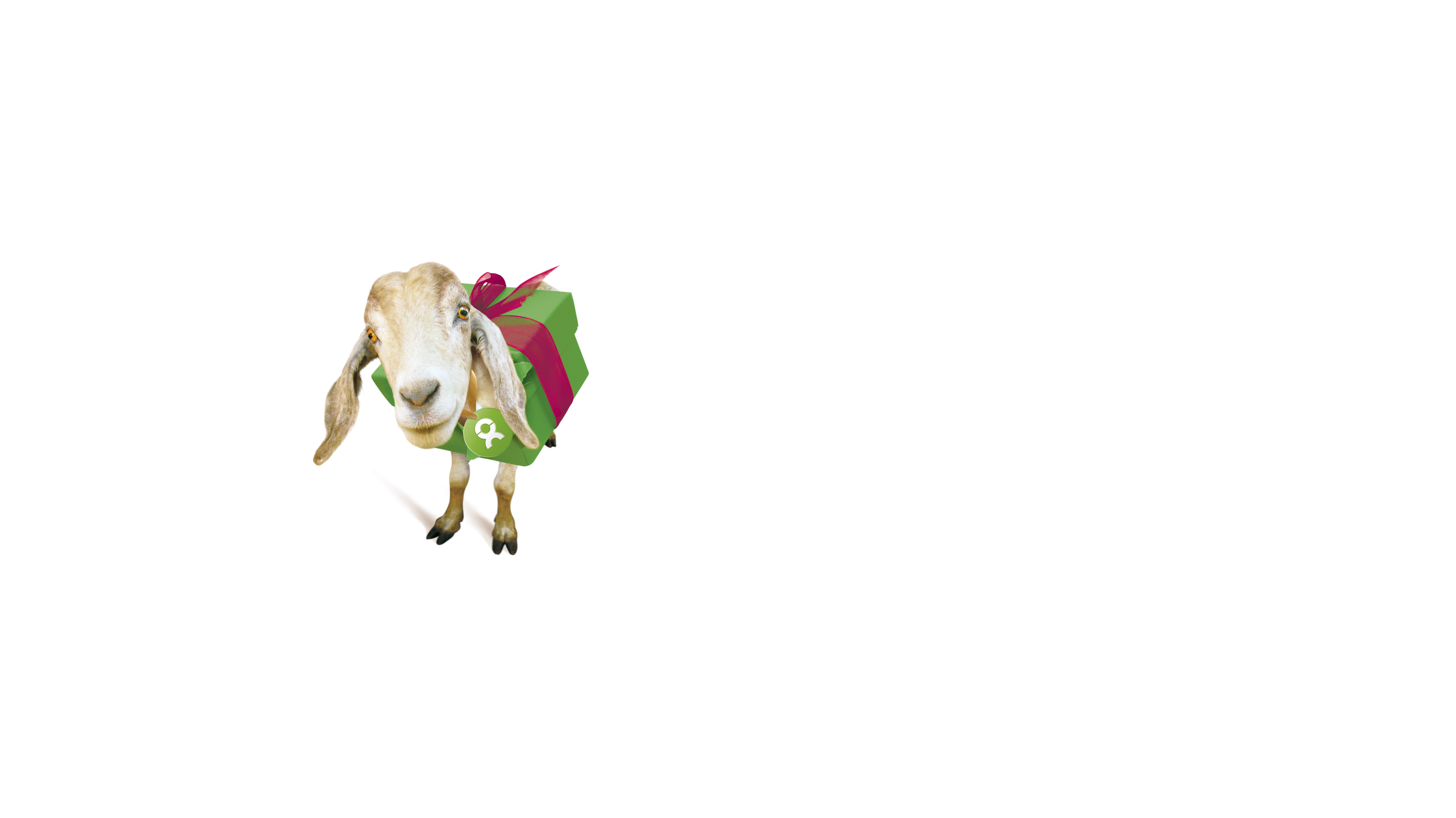 Geschenke, die Gutes tun!