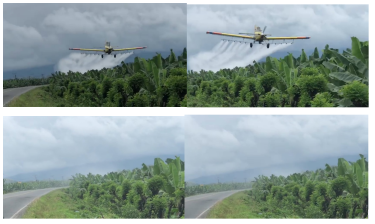 Eine Bananenplantage in Ecuador wird aus der Luft mit Pestiziden besprüht. Diese Plantage ist von der Rainforest Alliance zertifiziert. Ein Flugzeug fliegt über eine Bananenplantage in Ecuador und versprüht Pestizide. Durch die Plantage führt auch eine Straße, die mit besprüht wird.