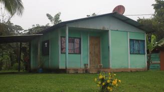 Ein kleiner, grün angestrichener Bungalow steht zwischen tropischen Bäumen.