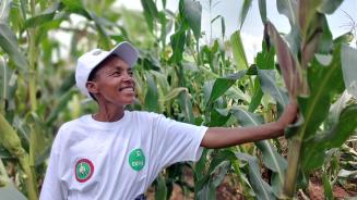Clémence Nibaruta steht stolz in ihrem Maisfeld in Gitega, Burundi. Sie hat an Schulungen unserer Partnerorganisation ADISCO in Gitega (Burundi) teilgenommen und betreibt nun agrarökologischen Landbau.