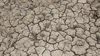 Ausgedörrter Boden im Bezirk Badin in Pakistan im Juli 2019.