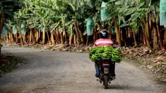 Motorradfahrer in Ecuador
