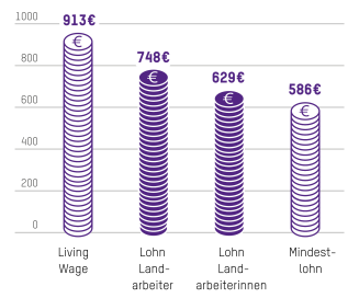 Lönhne und Lohnlücken in Costa Rica: Living Wage: 913 €, Lohn Landarbeiter: 748 €, Lohn Landarbeiterinnen: 629 €, Mindestlohn: 586 €.