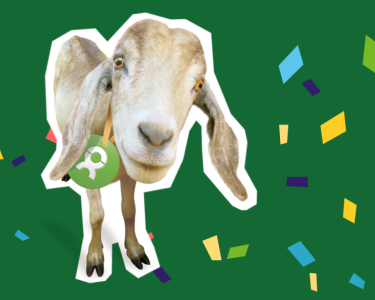 Spendengeschenke von OxfamUnverpackt Oxfam Unverpackt Ziege mit Konfetti