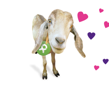 Zum Valentinstag spenden statt schenken Grafik einer Ziege mit Herzen, die die Liebe symbolisieren