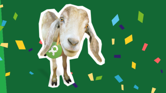 Oxfam Unverpackt Ziege mit Konfetti
