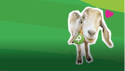 Oxfam Unverpackt Shop