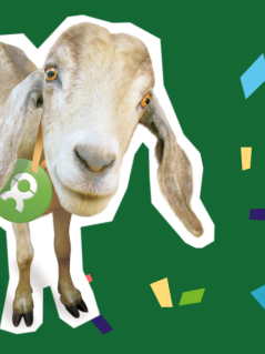 Oxfam Unverpackt Ziege mit Konfetti