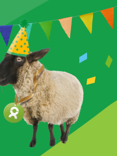 Spendengeschenke zum Geburtstag gibt es bei OxfamUnverpackt. Illustration: ein Schaf trägt einen Geburtstagshut und hält die Schnur eines Luftballons im Maul