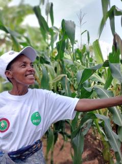 Clémence Nibaruta steht stolz in ihrem Maisfeld in Gitega, Burundi. Sie hat an Schulungen unserer Partnerorganisation ADISCO in Gitega (Burundi) teilgenommen und betreibt nun agrarökologischen Landbau.