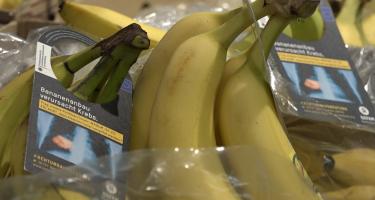 Bananen mit Schockbild-Anhängern im Stil der Warnhinweise auf Zigarettenpackungen: „Bananenanbau verursacht Krebs.“