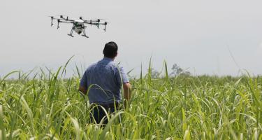 Ein Mann beobachtet eine Drohne, die über einem Feld fliegt.