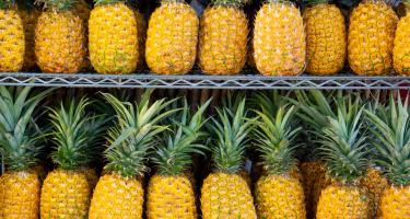 Reife Ananas in einem Regal Reife Ananas in einem Regal