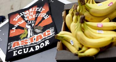 Im Vordergrund liegen Bananen aus Ecuador. Im Hintergrund liegt ein Shirt, das zur Solidarität mit den ecuadorianischen Plantagenarbeiter*innen aufruft.