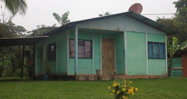 Ein kleiner, grün angestrichener Bungalow steht zwischen tropischen Bäumen.
