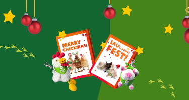 Grußkarten für Weihnachten von Oxfam Unverpackt