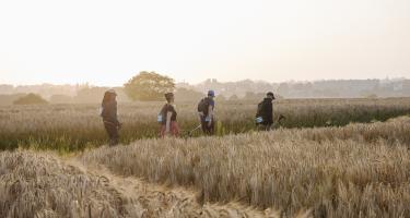 Ein Team von vier Menschen wandert durch Wiesen und Felder in der Abendsonne