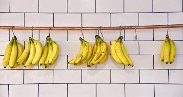 Bananenbündel, die an einer Stange vor einer gekachelten Wand hängen