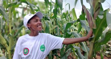 Clémence Nibaruta hat an Schulungen unserer Partnerorganisation ADISCO in Gitega (Burundi) teilgenommen und betreibt nun agrarökologischen Landbau. Sie ist außerdem Mitglied einer Spargruppe und einer landwirtschaftlichen Kooperative und gibt dort ihre Kenntnisse weiter. Von ihrem Einkommen zahlt die Witwe Schulgebühren für ihre Kinder und baut ihren landwirtschaftlichen Betrieb weiter aus. Neben Bananenpflanzen, einem Gemüsegarten und einem Maisfeld besitzt sie mittlerweile auch eine Kuh und vier Ziegen. Clémence Nibaruta steht stolz in ihrem Maisfeld in Gitega, Burundi. Sie hat an Schulungen unserer Partnerorganisation ADISCO in Gitega (Burundi) teilgenommen und betreibt nun agrarökologischen Landbau.
