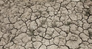 Ausgedörrter Boden im Bezirk Badin in Pakistan im Juli 2019. Hier kommt es häufig zu Überschwemmungen und Dürre-ähnlichen Zuständen, wodurch die landwirtschaftliche Produktion sinkt. Die Ursachen sind Wasserknappheit, veränderte Niederschlagsmuster und Bodendegradation durch das Eindringen von Meerwasser. Ausgedörrter Boden im Bezirk Badin in Pakistan im Juli 2019.