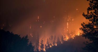 Waldbrand im Klamath National Forest, USA. Brennende Bäume, Rauch und Funken bei einem Waldbrand im Klamath National Forest, USA.