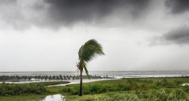 Zyklon Amphan Cox's Bazar, Bangladesch
