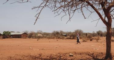 Sankuus* lebt in Wajir, Kenia. Die Dürre hier ist extrem: Um die nächste Wasserquelle zu erreichen, läuft Sankuus über 13 Kilometer. Ein Mann mit einem Wasserkanister in der Hand läuft über trockene, rötliche Erde. Die Sonne scheint. Im Vordergrund und im Hintergrund stehen vertrocknete Bäume.