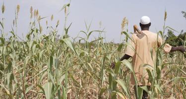 Idrissa Ouedraogo ist ein Bauer in der Region Centre-Nord in Burkina Faso. Er steht mit dem Rücken zur Kamera in einem Feld, das sehr trocken aussieht.