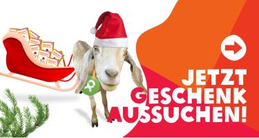 Ziege mit Weihnachtsmütze und Schlitten. Jetzt Geschenk aussuchen! Bild einer Ziege, die einen Schlitten voller Geschenke zieht. Auf dem Bidl steht. Jetzt Geschenk aussuchen!