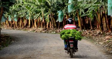 Motorradfahrer in Ecuador