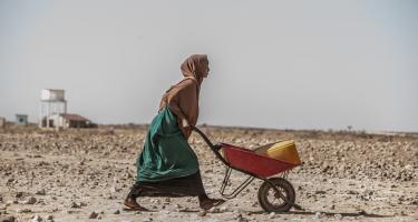 Eine Frau läuft über vertrocknetes Land und transportiert Wasser mit einem Karren Eine Frau läuft über vertrocknetes Land und transportiert Wasser mti einem Karren
