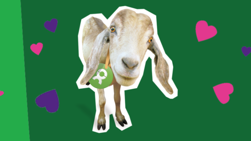Oxfam Unverpackt Ziege mit Herzen